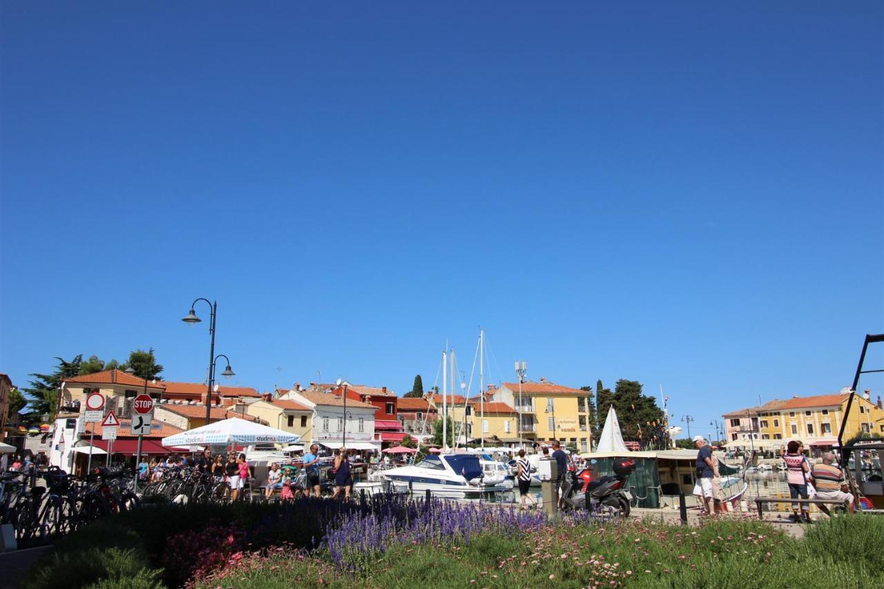 Gianna A4+2 Apartment Novigrad  Exterior photo